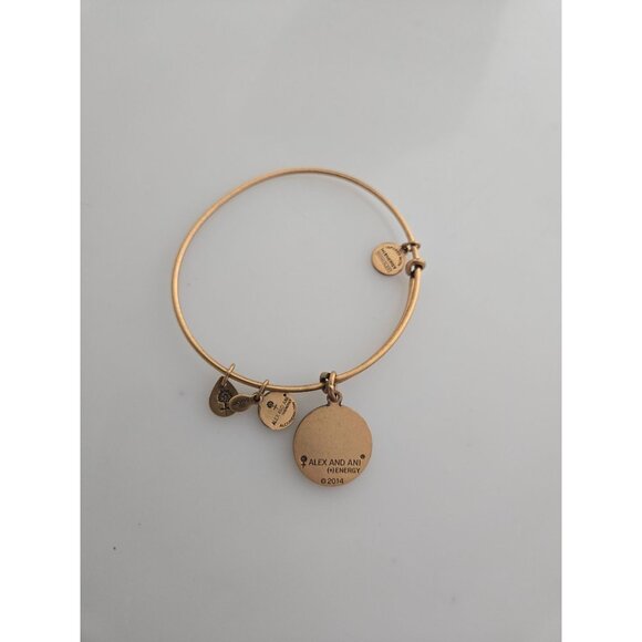 Alex and Ani Claddagh Charm Bracelet in Rafaelian - Excellent Condition - Picture 2 of 2